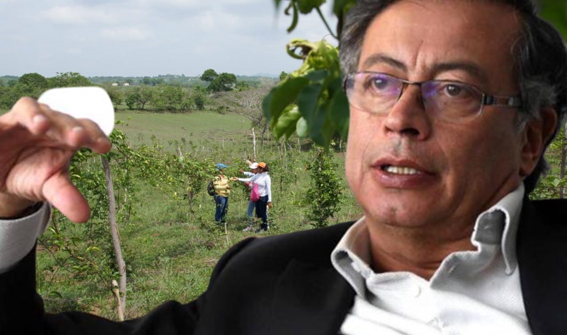 Ofreciendo casas y parcelas a nombre de Gustavo Petro pretenderían estafar a personas en Montería