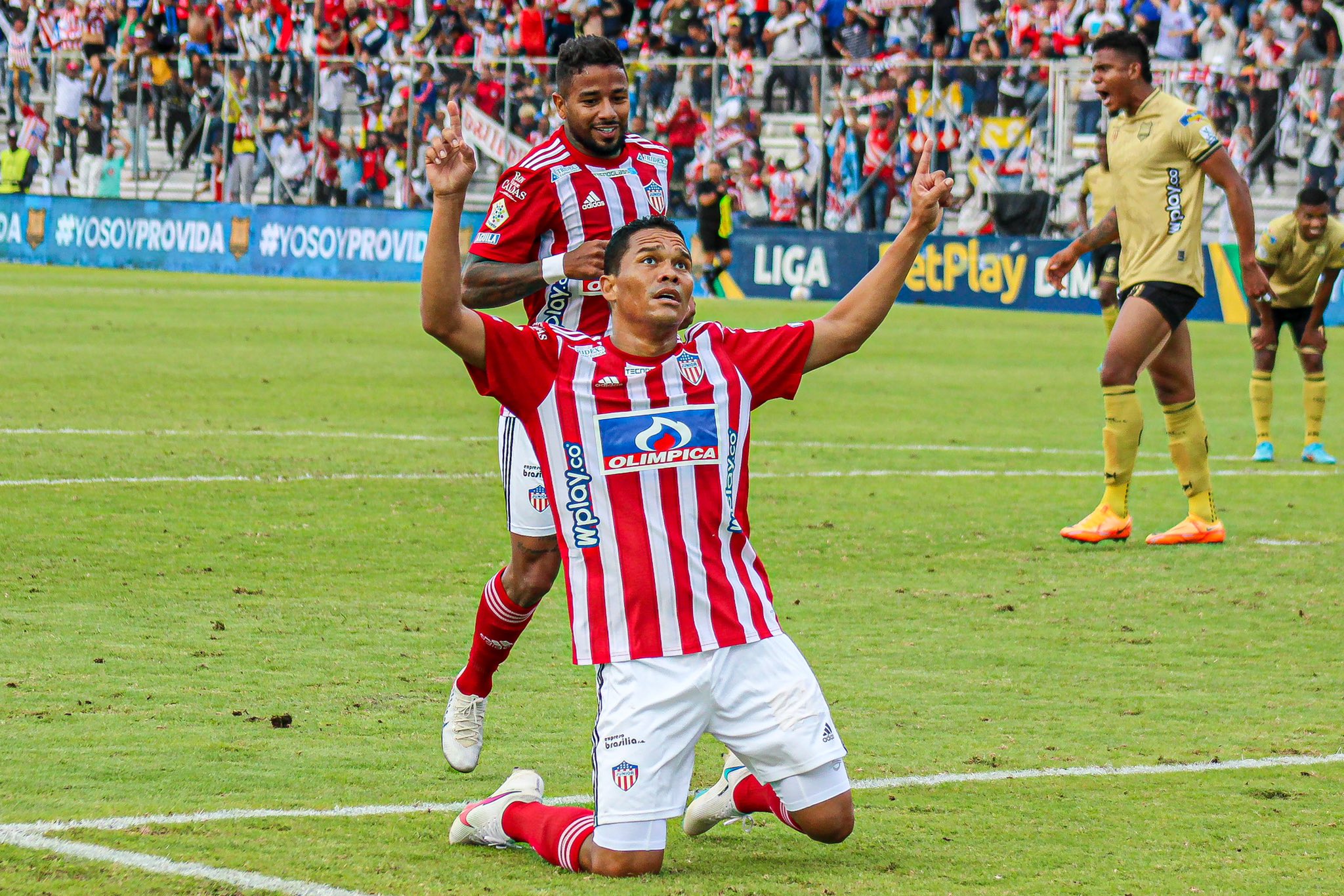 Carlos Bacca marcó su primer tanto tras regresar a Junior