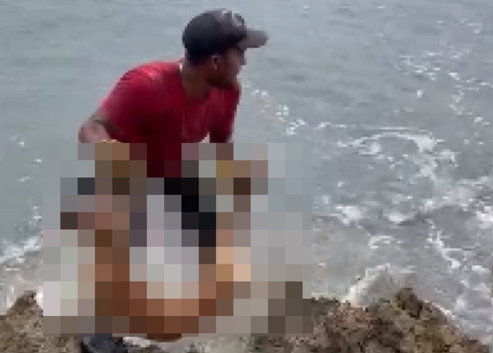 Capturan a pescador que lanzó perro muerto como carnada para atraer tiburones en San Andrés Islas