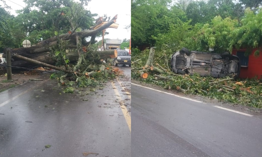 Árbol cayó en la carretera y provocó accidente en Chinú