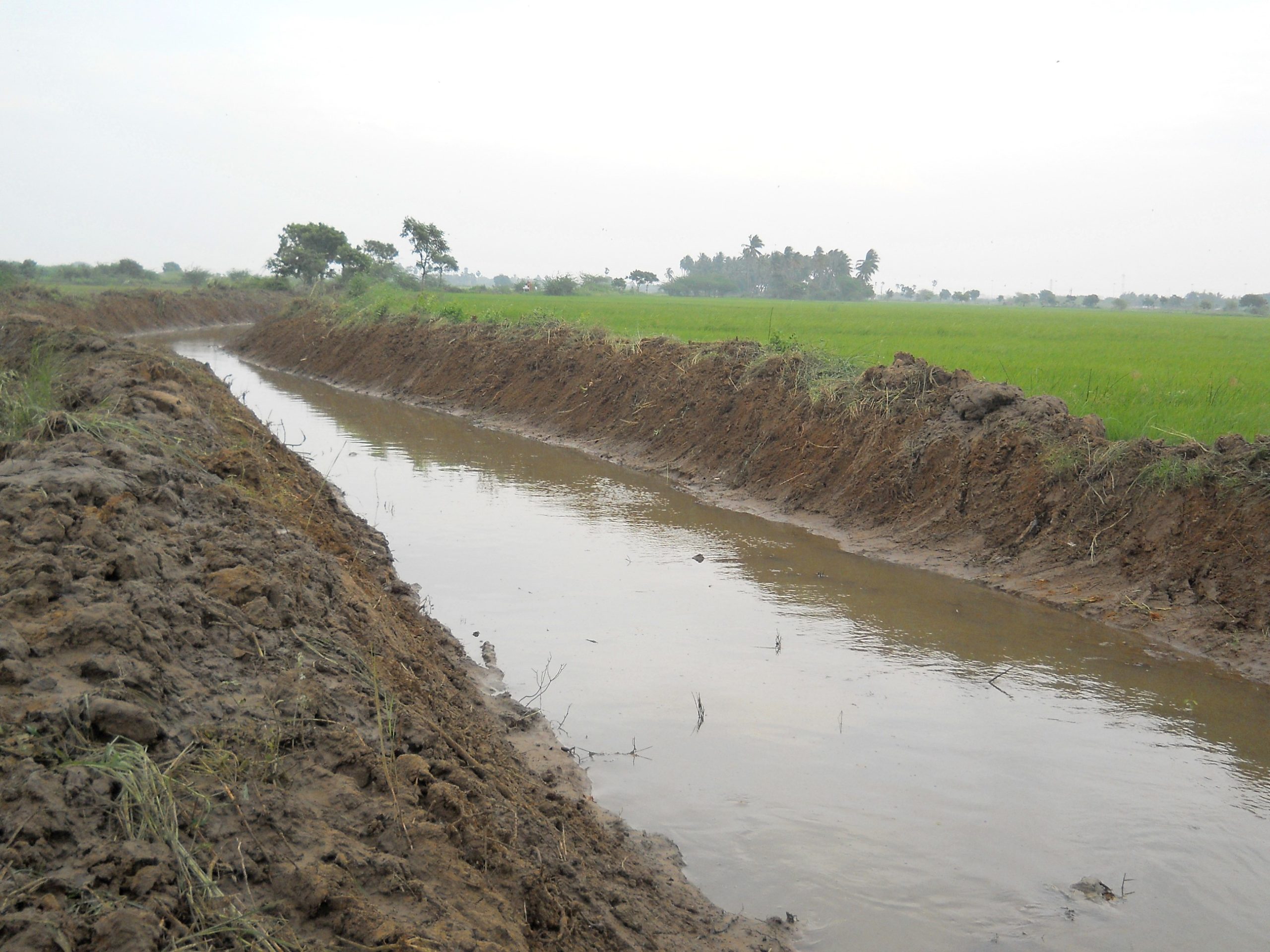 Lamentable, niña de dos años se ahogó en un canal en zona rural de Ciénaga de Oro