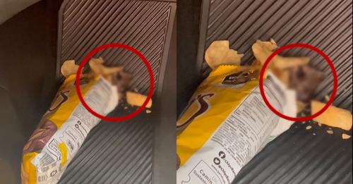 Asqueroso, mujer encontró un ratón en paquete de papas fritas