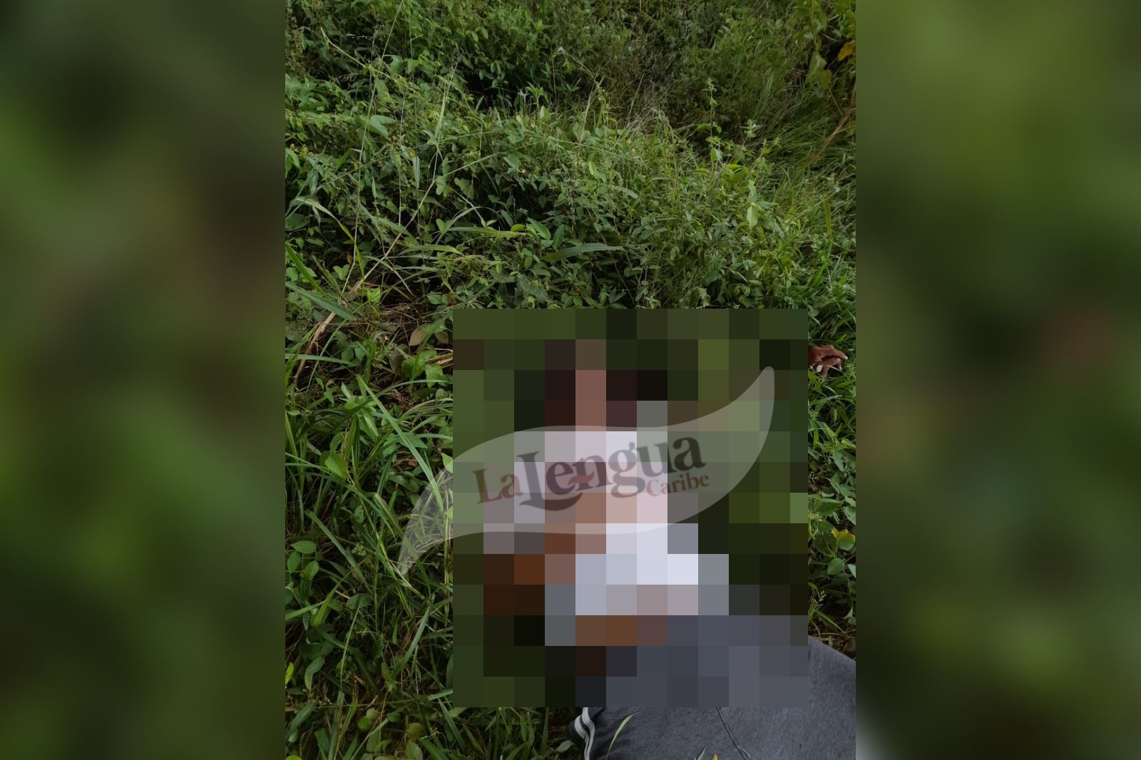 Hombre fue asesinado en zona rural de Ciénaga de Oro