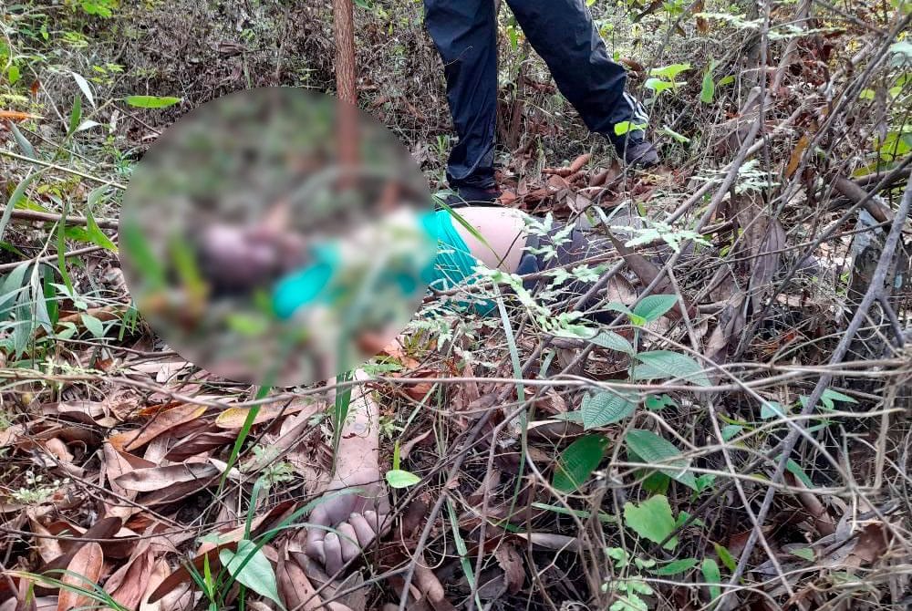 Hallan cuerpo de una mujer con signos de tortura y un panfleto en Tierralta