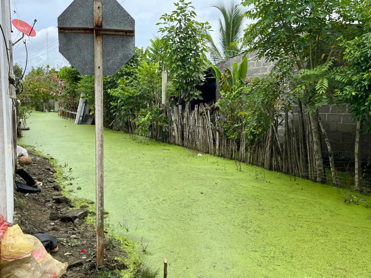 En Cotorra reportan más de 3 mil personas damnificadas por inundaciones