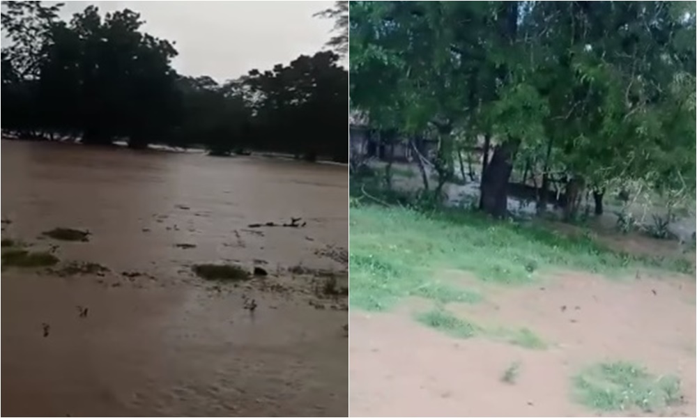 Crítica situación en el corregimiento Las Palomas por desbordamiento del río Sinú