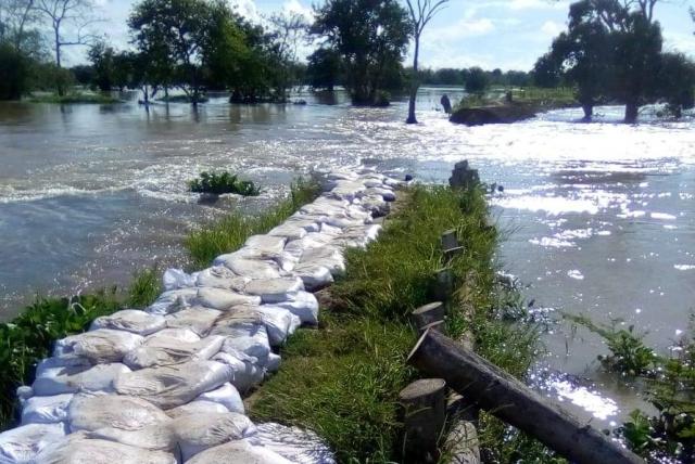 Campesinos de La Mojana entrarán en paro indefinido desde el 23 de noviembre