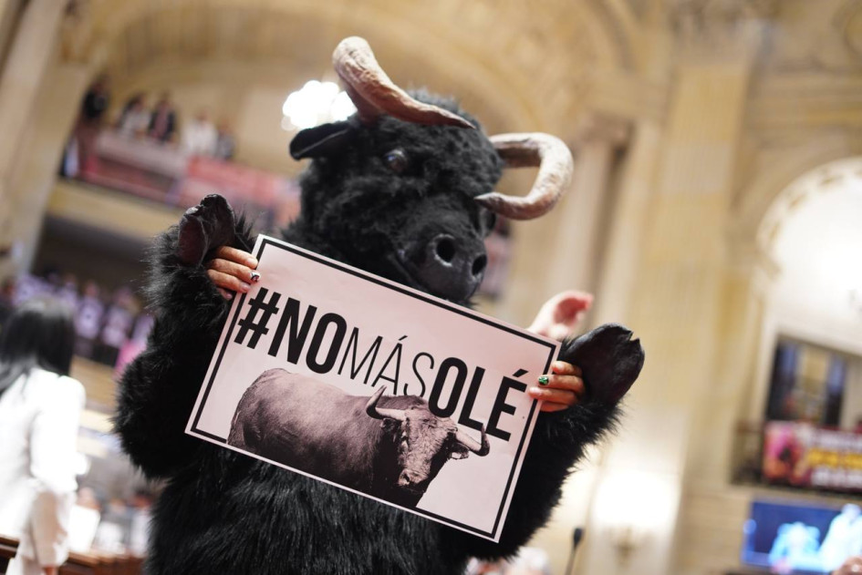 Se hunde por quinta vez el proyecto que pretendía prohibir las corridas de toros en Colombia