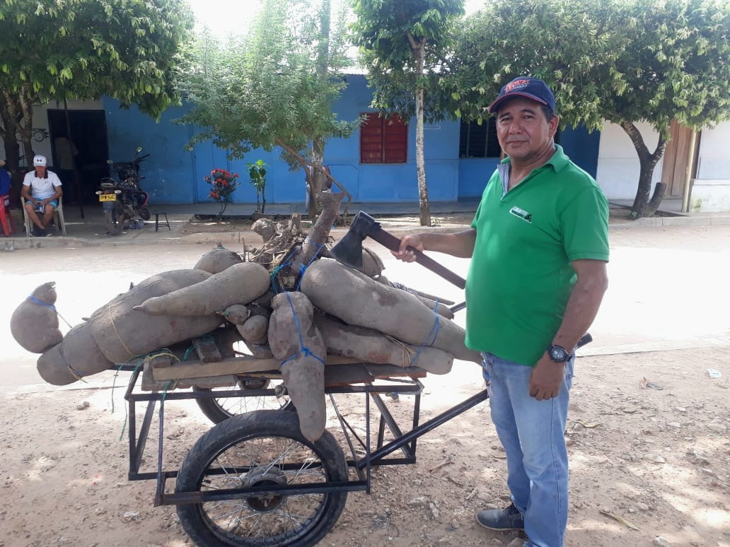 Habitantes podrán disfrutar del Mercado Campesino en el corregimiento Buenos Aires