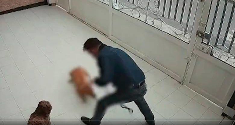 Juzgarán a sujeto que agredía a su perrito ‘Barnner’ en Bogotá