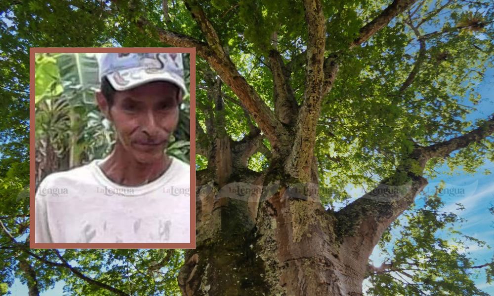 Qué pesar, el popular ‘Migue’ murió tras caer de un árbol en Valencia