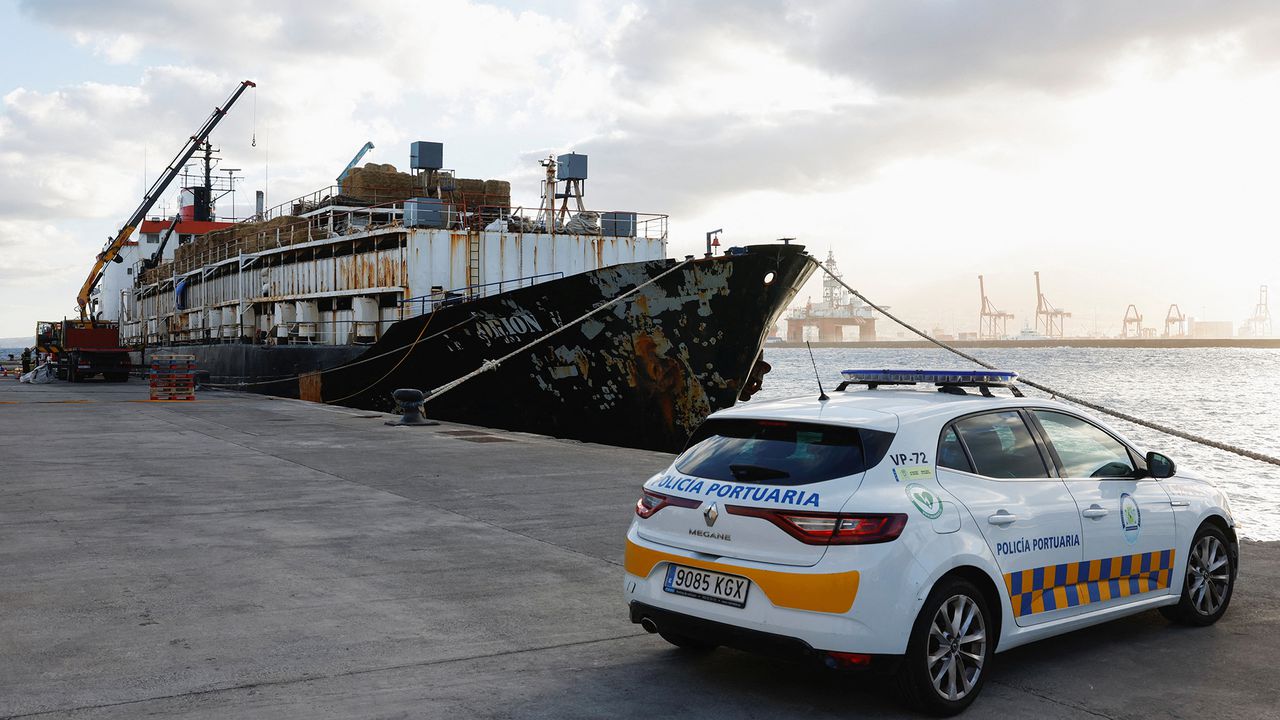 Cayó en España barco con 4.5 toneladas de cocaína que zarpó desde Colombia cargado de vacas