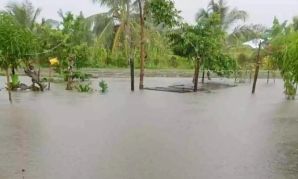 Al menos 50 familias damnificadas en el municipio de Los Córdoba tras torrencial aguacero