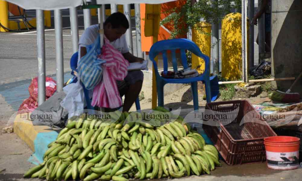 Plataneros en el Mercadito rechazan noticias que los culpan del alza de los plátanos
