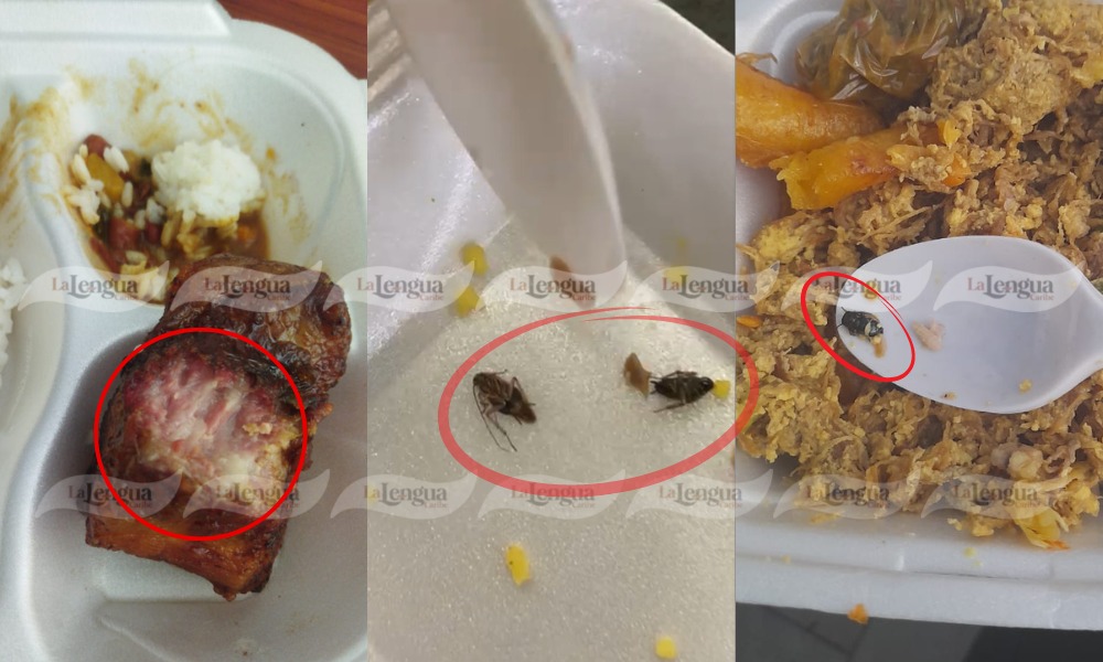 A presos en Montería les estarían dando comida con cucarachas, entraron en huelga de hambre