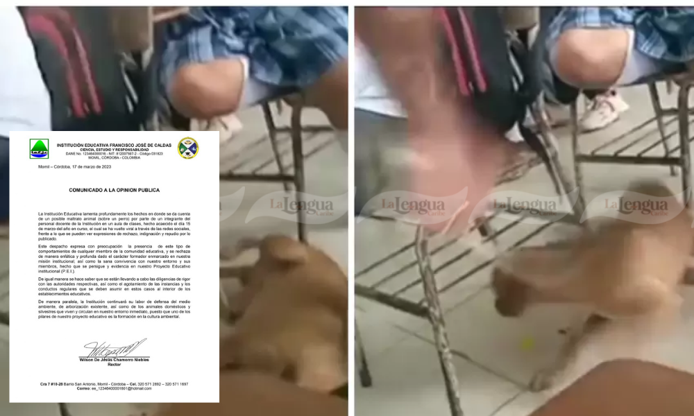 Animalistas repudian maltrato de un perro dentro de salón de clases en Momil