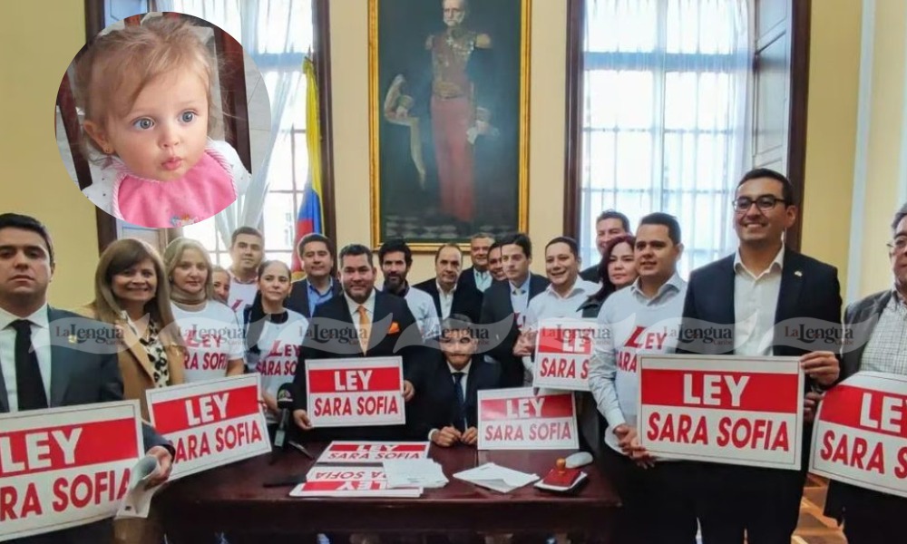 Pasa su primer debate la ley “Sara Sofia”, que busca ubicar y rescatar menores desaparecidos