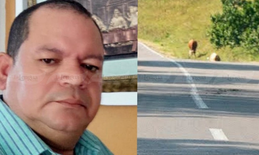 Murió Víctor Vega, hombre que chocó contra una vaca el Sábado de Gloria