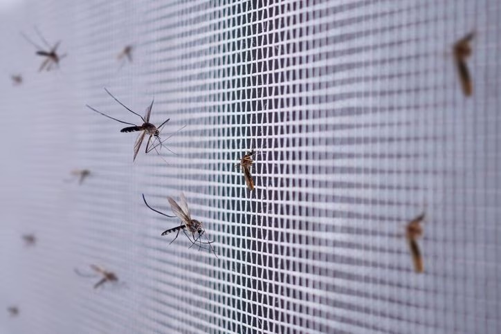 Preocupante cifra de Malaria y Dengue en el departamento de Córdoba