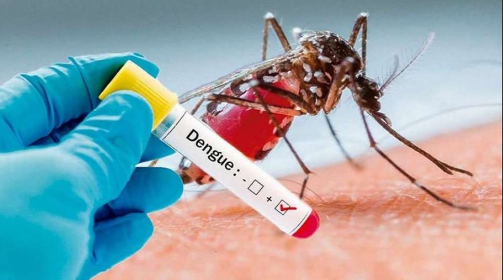 Cantaclaro es el barrio con más casos de dengue de Montería