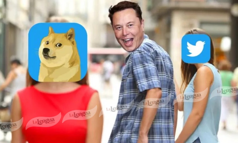 ¿Elon Musk despidió al pajarito azul? ha cambiado el logo de Twitter por un gracioso perrito  