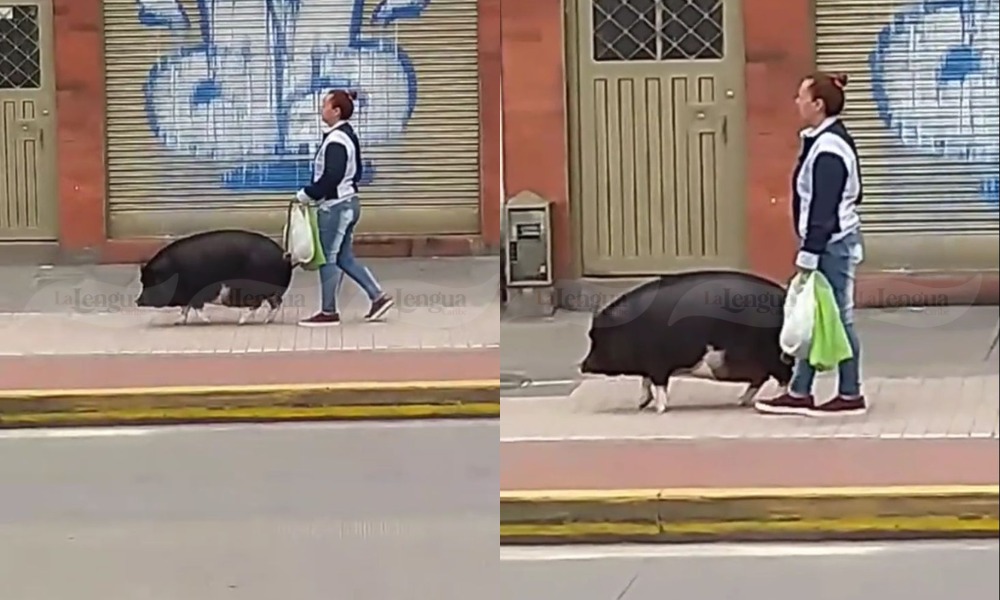 Colombianada, mujer pasea un cerdo por la calle y se roba todas las miradas