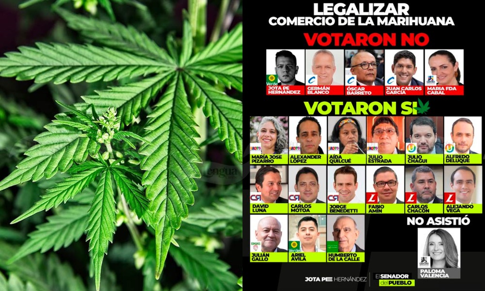 Senado aprueba en penúltimo debate la legalización de la marihuana