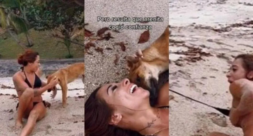 Curiosa perrita le quitó la ropa a una mujer en la playa, la dejó con los senos al aire