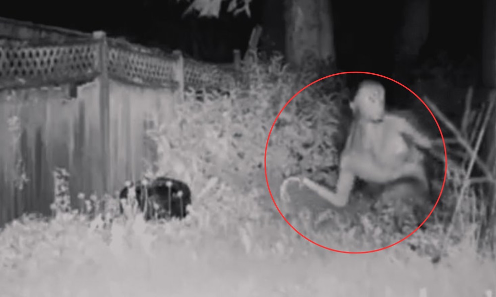 ¿Es real? policía estadounidense difunde video de supuesto extraterrestre
