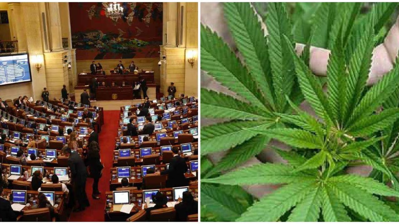 Se hundió la reforma de regularización de la marihuana en el Congreso