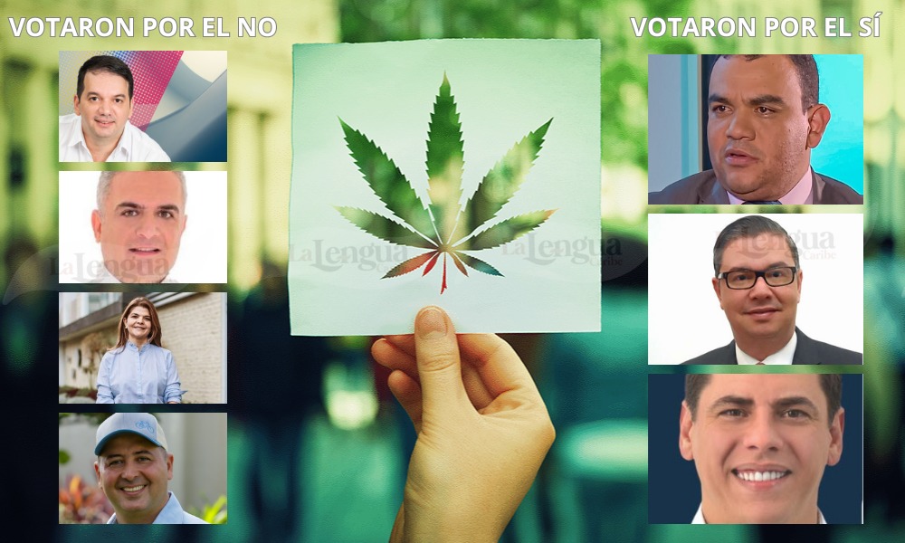 Estos fueron los congresistas cordobeses que votaron por el sí a la marihuana