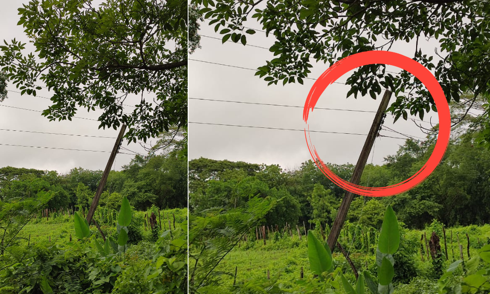 Poste de luz sigue siendo un peligro, ahora se quedaron sin energía eléctrica en la vereda Las Palmas