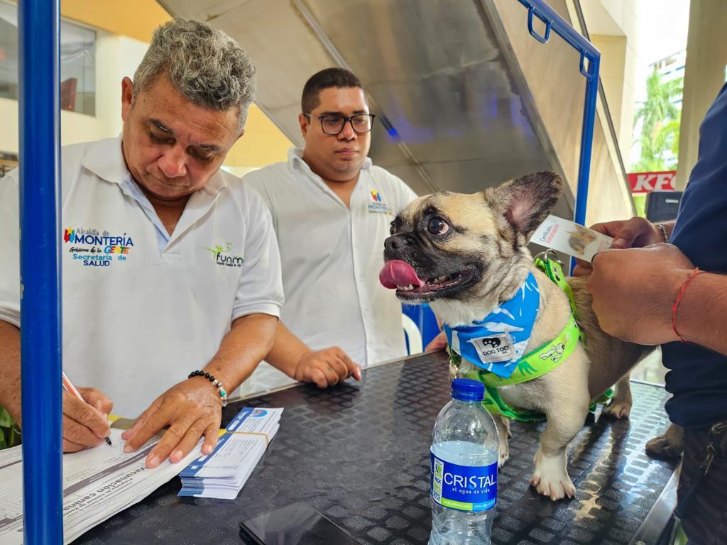 Con éxito finalizó el primer día de la jornada de sanidad y adopción animal en Montería