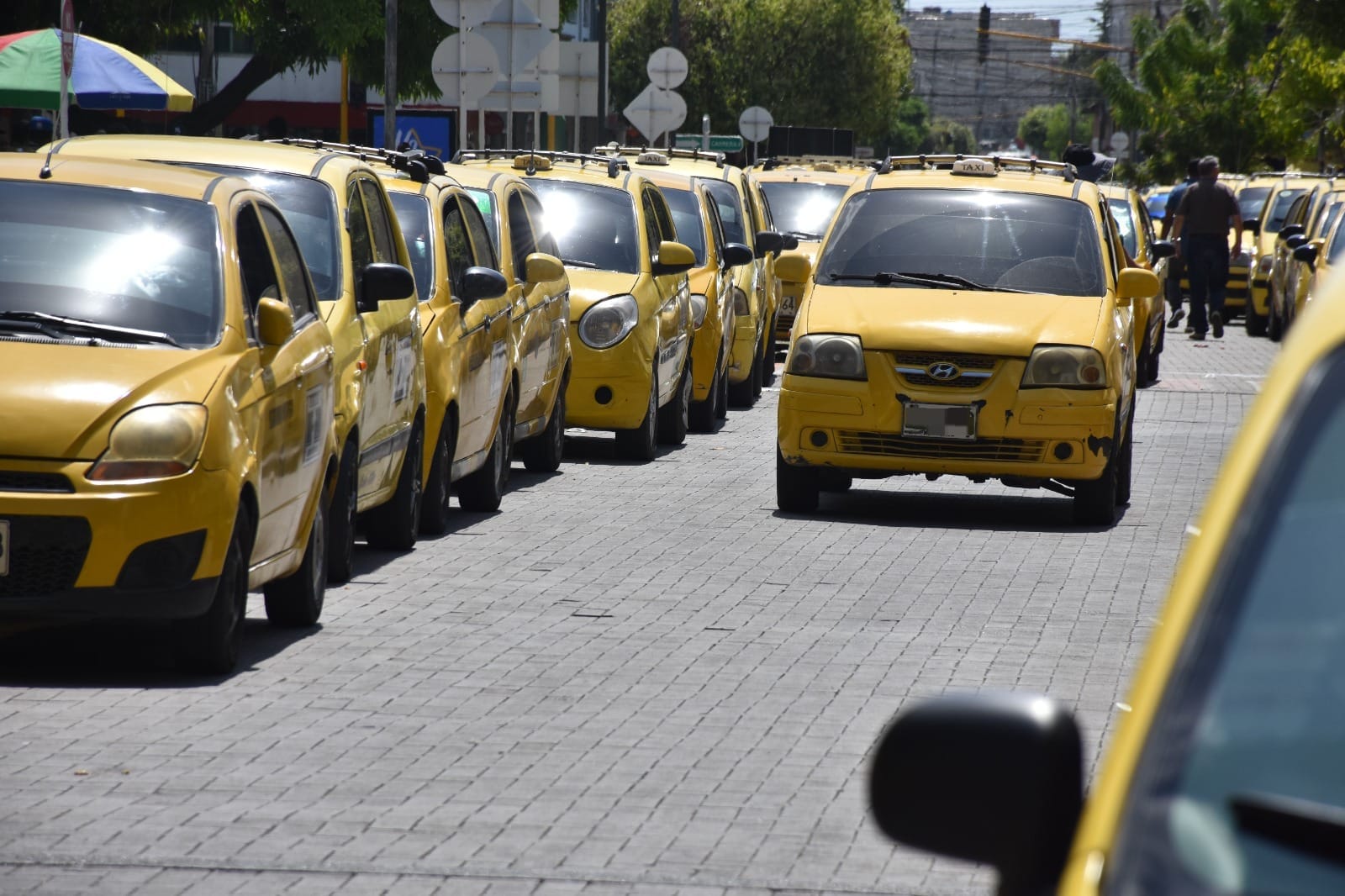 En las próximas semanas subirá el precio de las carreras de los taxis, reveló mintransporte