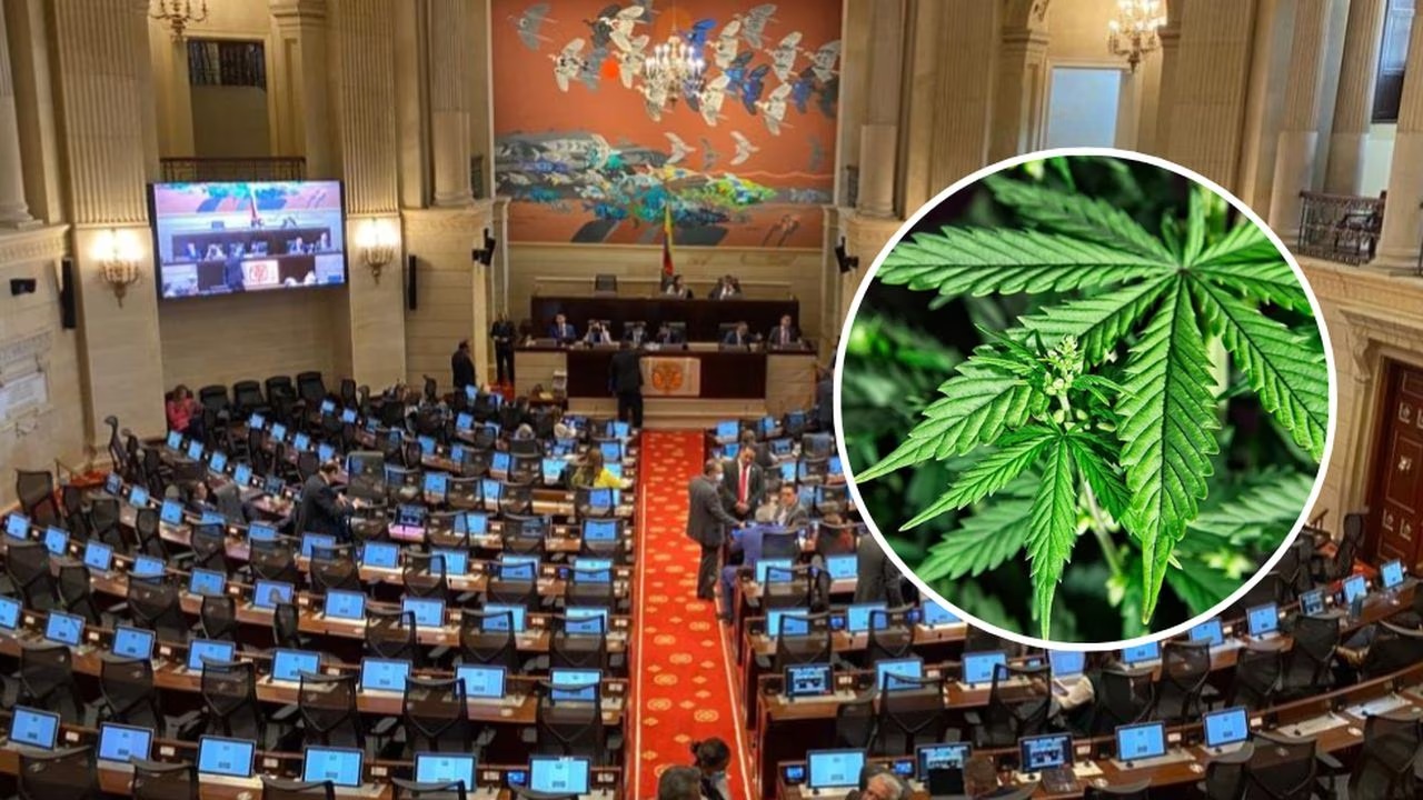 ¡Por quinta vez! proyecto que busca regular el cannabis para uso adulto es radicado en el Congreso
