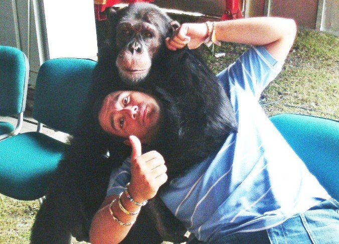 La conmovedora historia de Pancho, el chimpancé que mataron tras escapar del bioparque Ukumarí