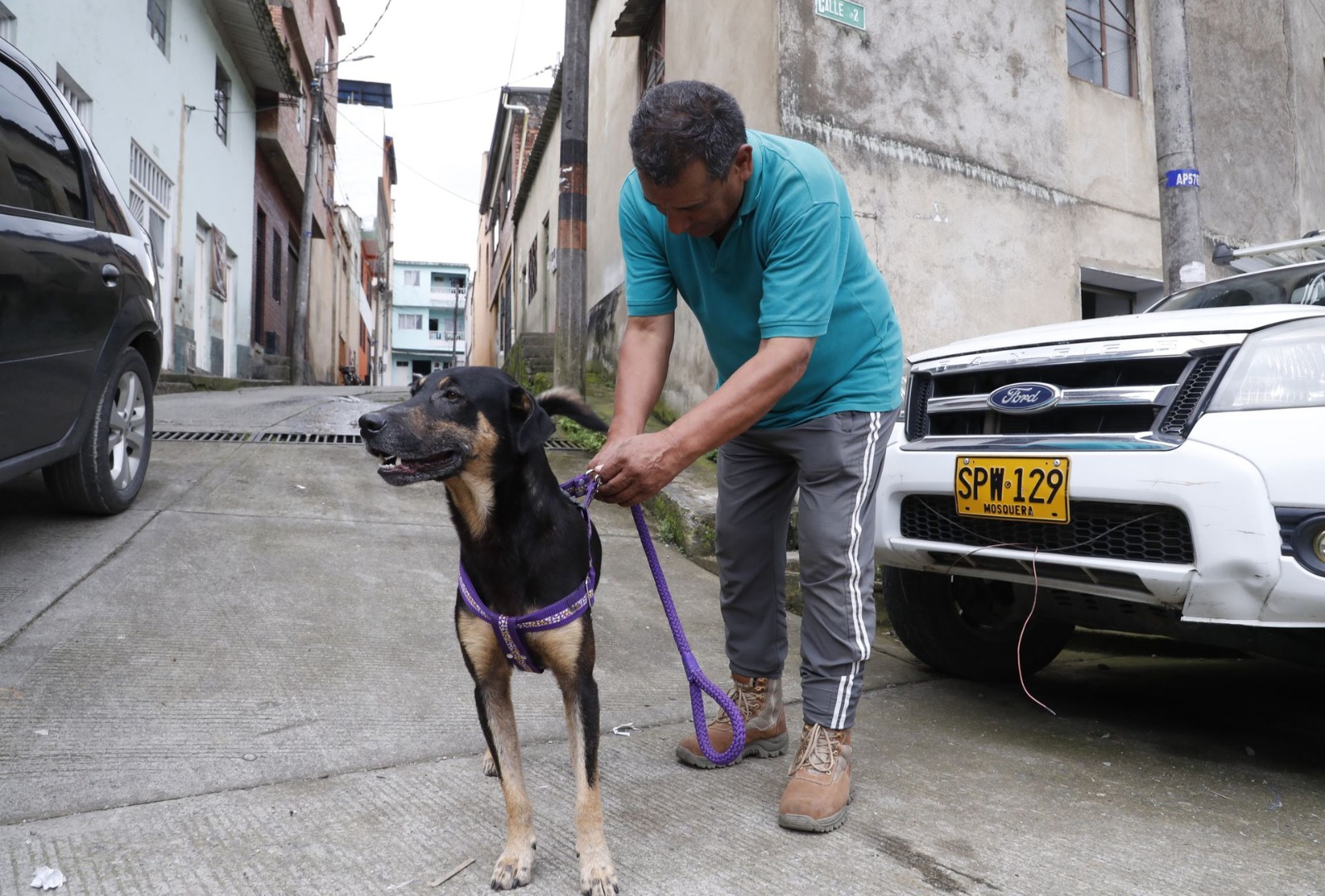 Trotski el valiente perrito que salvó a una familia de morir sepultada por la avalancha en Quetame