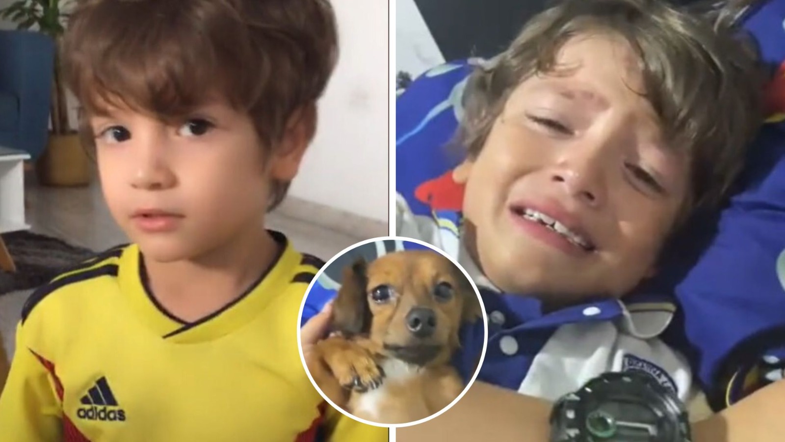 “El mejor día de mi vida”: Regalan perrito a niño y hace llorar al Internet con su reacción