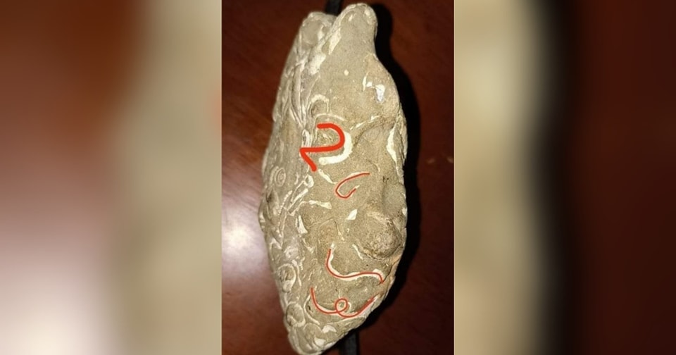 ¿Usted apostaría? En Tierralta hallan extraña piedra con números grabados