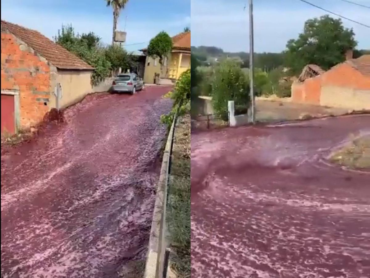 ¡Impresionante! Las calles de un pueblo en Portugal se inundaron de millones de litros de vino