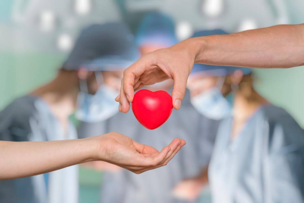 Salvar vidas a través de la muerte: fallecidos con fallas cardíacas podrían donar órganos a colombianos