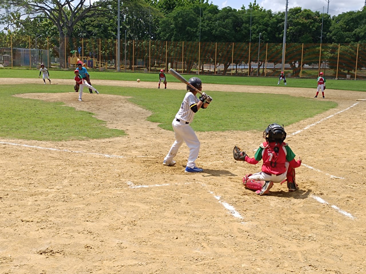 Copa Caribe de béisbol menor reúne en Montería cerca de 900 peloteros de Colombia, Venezuela, Ecuador y República Dominicana