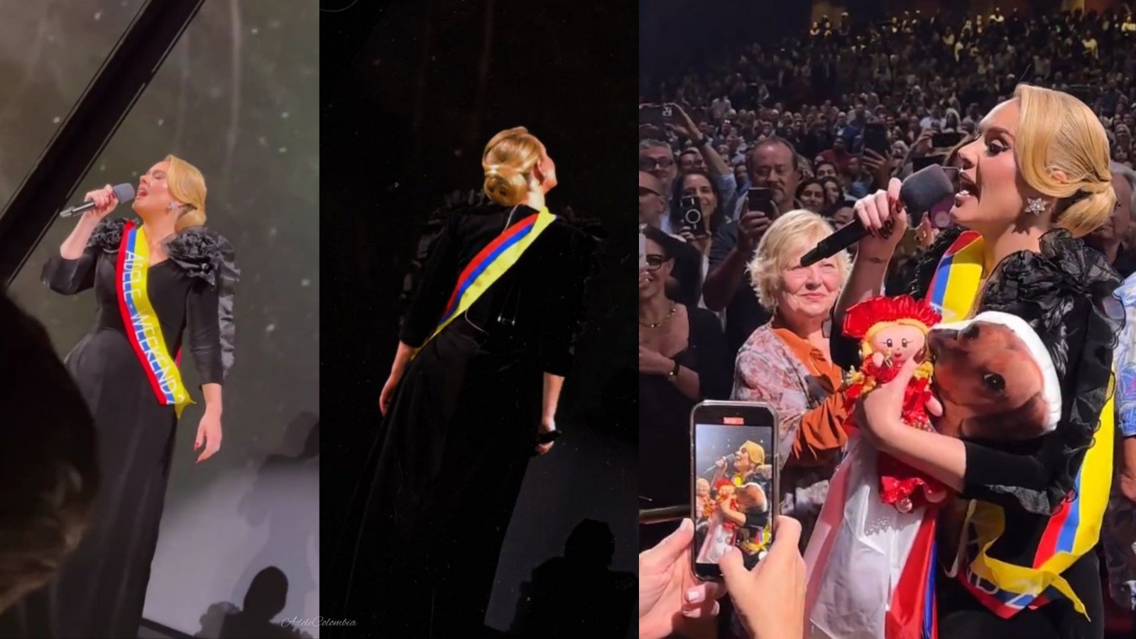 Adele, la «nueva colombiana» que lució con orgullo la bandera del país