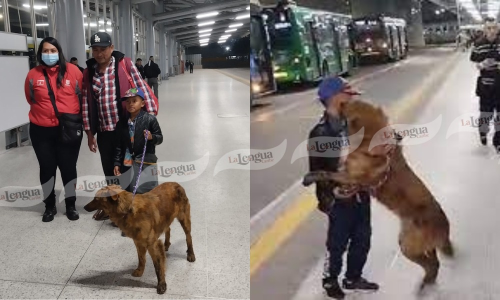 ¡Un final feliz! Familia se reencontró con su perro un día después de que se extravió