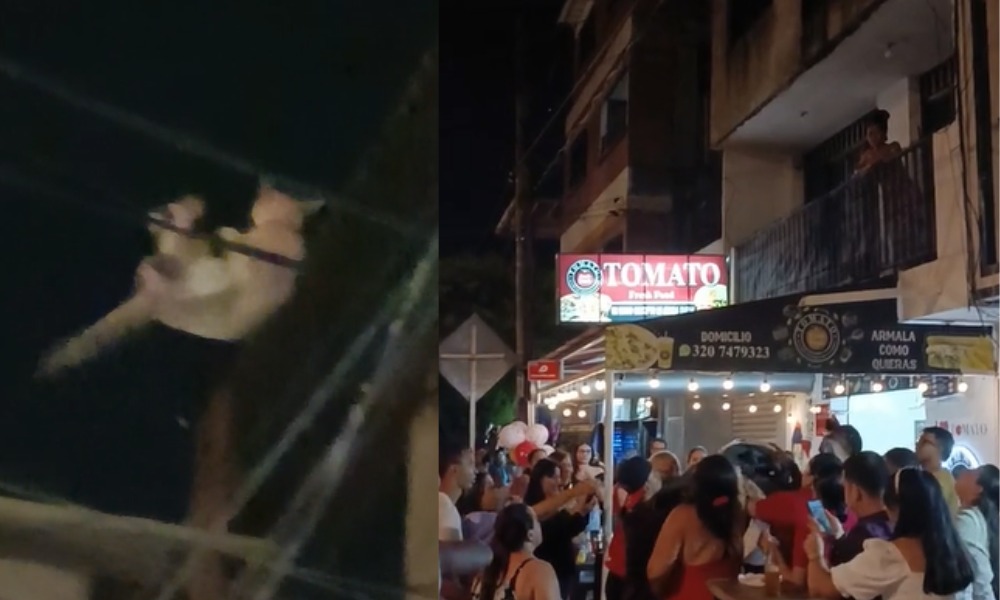 Emotivo video: paran fiesta callejera para salvar a un ‘michi’