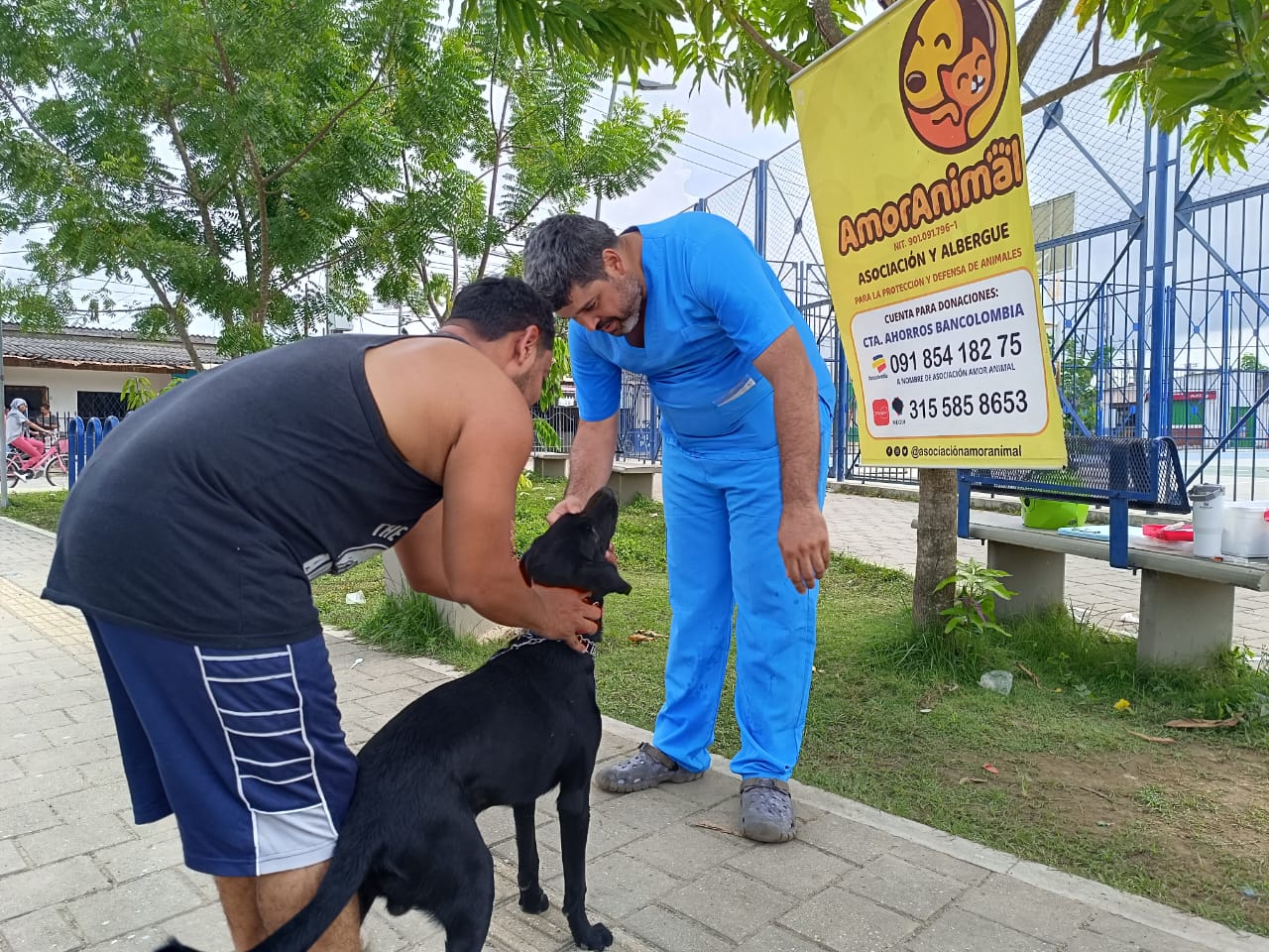¡Prepárate! Semana de Sanidad Animal, tiempo para las mascotas en Montería