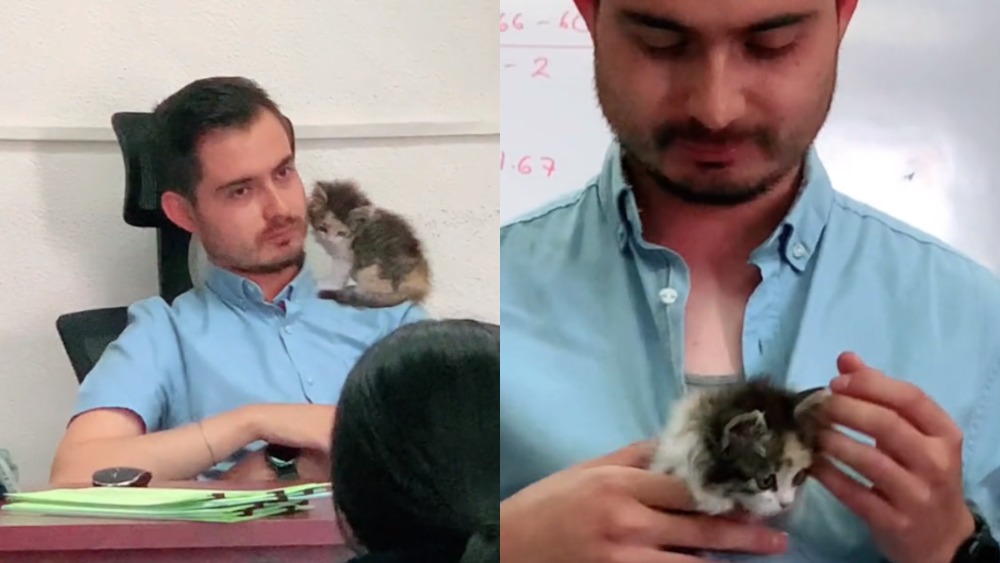 Profe se hace viral por cuidar el gatito de una de sus alumnas mientras hacía un examen