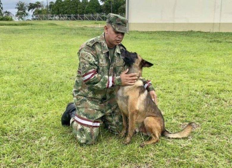 ¿Qué opina? ‘Uber’ asumirá el cargo de su hermano Wilson, el perrito perdido en la selva del Guaviare