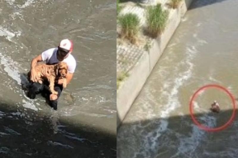 Héroe sin capa, hombre se lanzó a un río para salvar a un perrito que se estaba ahogando