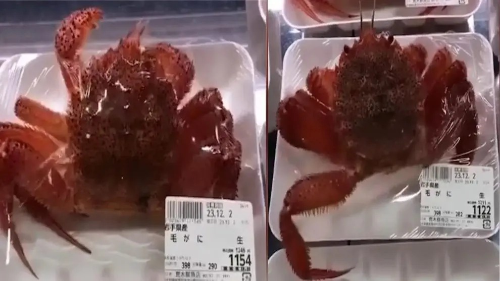 “Humanidad insensible”: Hallan cangrejos vivos envueltos en plástico en un supermercado
